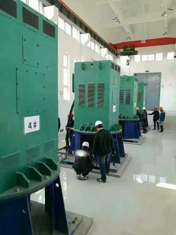 YKK4001-6某污水处理厂使用我厂的立式高压电机安装现场