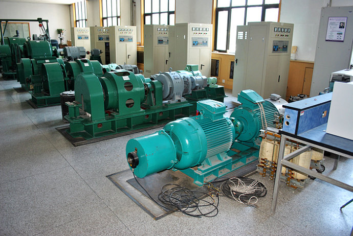 YKK4001-6某热电厂使用我厂的YKK高压电机提供动力
