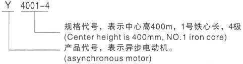 西安泰富西玛Y系列(H355-1000)高压YKK4001-6三相异步电机型号说明