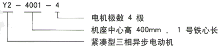 YR系列(H355-1000)高压YKK4001-6三相异步电机西安西玛电机型号说明